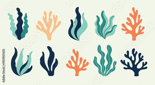 Collection of Diverse Marine Plants for Aquatic Ecosystems and Botanical Studies Displaying Various Colors and Shapes with Organic Aesthetics for Creative Design Projects and Natural Science