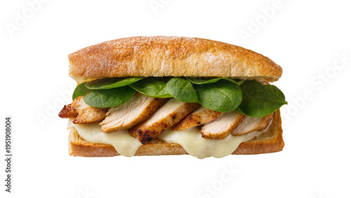 Tableau sur toile Delicious grilled chicken and melted cheese sandwich with fresh spinach on ciaba