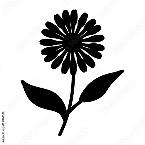 Black and white flower vector art illustration of a daisy flower with leaves for graphic design needs