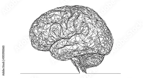 Detailed illustration of a human brain.