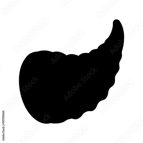 Illustration of a black silhouette of a pancreas for medical and educational purposes anatomy organ