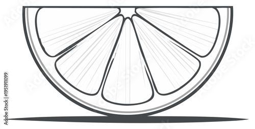 Simple Graphic Style Fruit Slice in Black and White Half Slice of Citrus Food