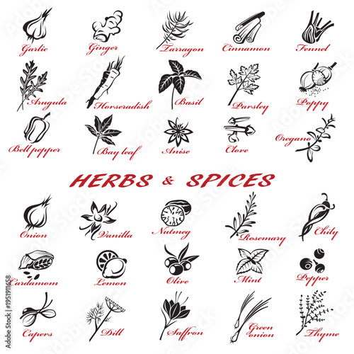 collection of different herbs and spices isolated on white background