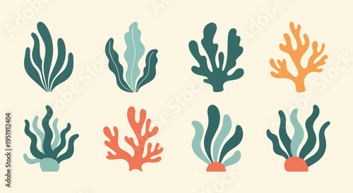 Collection of Decorative Algae and Seaweed Elements Underwater Vegetation Aquatic Plants Green Foliage Marine Life Ocean Flora Organic Shapes Decorative Composition Natural Forms Artistic Design