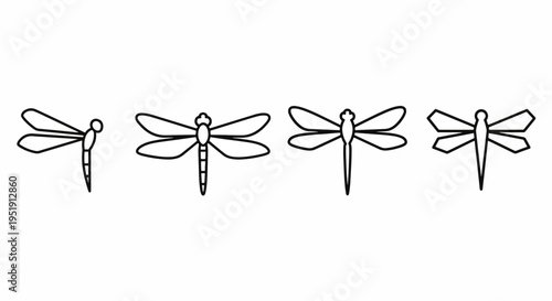 Dragonfly Outlines A Visual Guide to Insect Anatomy and Wing Structure Ideal for Educational Resources and Biology Studies Explore the Graceful Forms of Dragonflies Through These Outlines