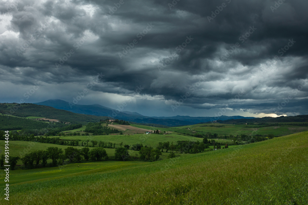 Fototapeta premium Vibrant green landscape of Val d'Orcia, Tuscany, featuring iconic rolling hills and cypress trees under a soft morning light. A perfect representation of Italian rural beauty and tranquility.