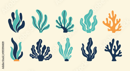 Botanical Seaweed Assortment with Vibrant Color Variations Displayed Across Pale Surface for Artistic or Decorative Purposes Suggesting Marine Life and Natural Beauty or Ecological Themes in