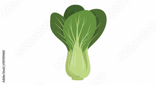 Fresh Green Bok Choy Vegetable Healthy Food Choice Culinary Ingredient Nutrient Rich Diet Organic Produce Natural Vegetarian Source Cooking Staple Agricultural Product Foodie Culinary Food