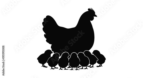 A striking black silhouette depicts a mother hen protectively sheltering her small fluffy chicks nearby high quality professional detailed