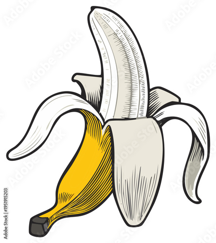 Sketch Illustration of a Partially Peeled Banana with Yellow Flesh and White Interior