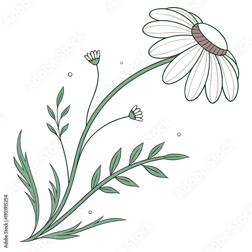 Simple Chamomile Flower Vector Logo Minimal and Flat vector illustration