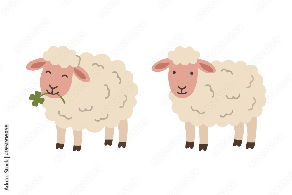 Obraz premium Set of cute white sheep eating clover and standing flat illustration scandinavian style
