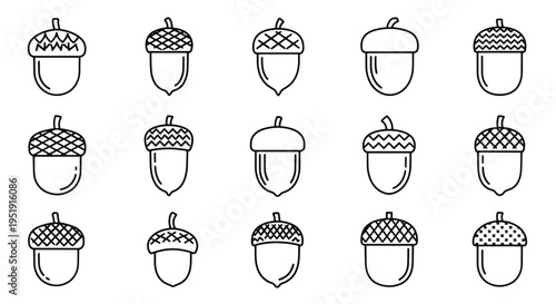 Assortment of Nut Icons for Autumn Featuring Outlines of Acorns in Various Shapes and Designs Suitable for Seasonal Themes and Educational Materials Representing Nature s Bounty and Woodland