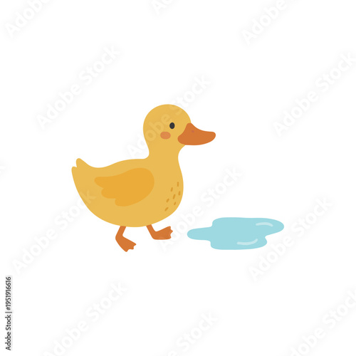 Cute yellow duckling standing near water puddle flat illustration scandinavian style