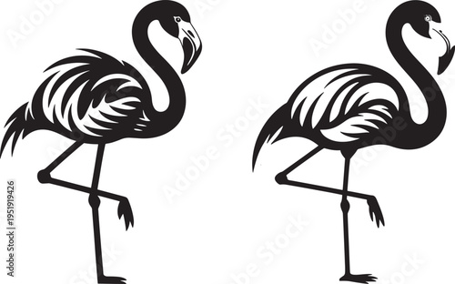 Vector illustration silhouette of two elegant flamingos standing on one leg, showcasing their graceful posture and distinctive shape