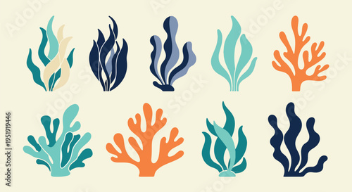 Seaweed Garden Abstract Underwater Plants in Artistic Composition with Natural Ocean Flora and Aquatic Vegetation Creating a Textured Marine Scene and Colorful Nautical Design Seascape Waterscape