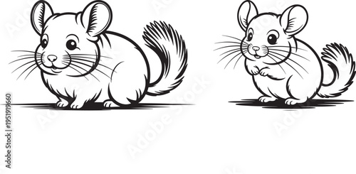Cute chinchilla vector illustration adorable rodent art for animal lovers with line art with small animal