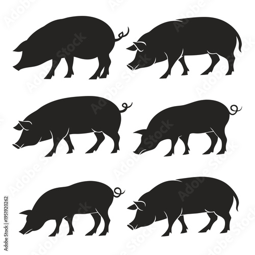 Set of black silhouettes of pigs in different poses