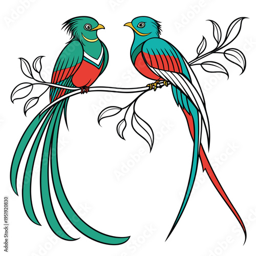 Pair of resplendent quetzal birds perched on a branch illustration