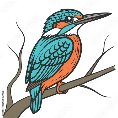 Colorful kingfisher bird illustration perched on a branch