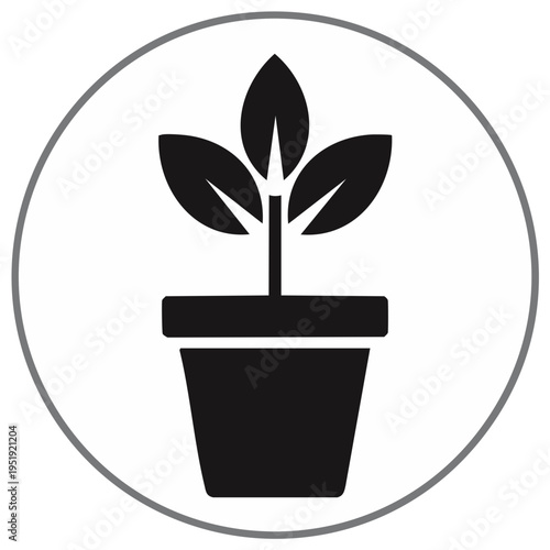 Simple Plant Icon Sprout in Pot Growth Symbol Vector Art in Circle Frame for Web Design