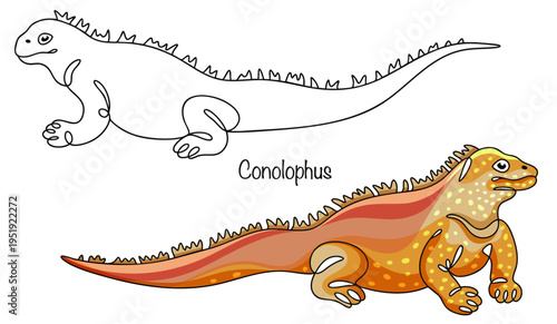 Conolophus