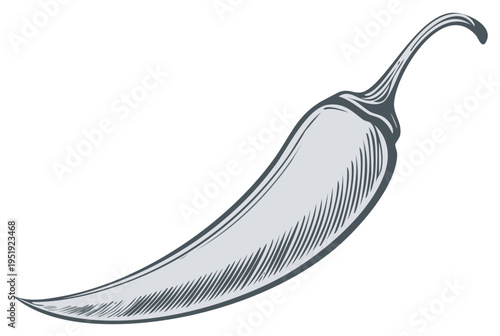 Monochromatic Engraved Chili Pepper Illustration with Detailed Texture and Curving Shape