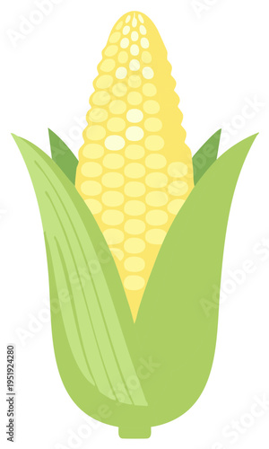 Vibrant Yellow Ear of Corn Partially Shucked with Green Husks Flat Design Illustration