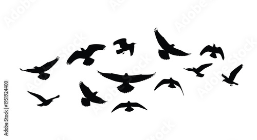 A flock of black birds silhouetted against a white background are dynamically captured in mid flight evoking freedom high quality