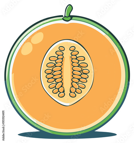 Cartoon slice of a ripe cantaloupe melon showing bright orange flesh and seeds against a white background