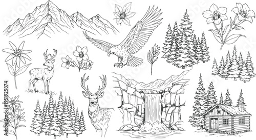 Alpine Mountain Nature Hand Drawn Line Art Vector Set with Deer, Eagle, Waterfall, Pine Trees, Log Cabin and Wildflowers