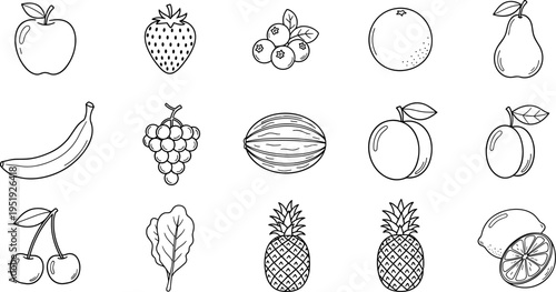 Collection of hand-drawn fruit icons in a clean black and white outline style