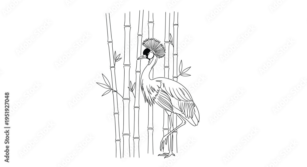 Fototapeta premium A detailed line drawing of a crowned crane standing amongst bamboo stalks