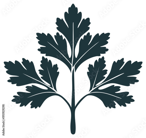 Stylized dark green parsley leaf illustration
