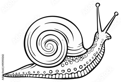 Outline Illustration of Snail with Swirl Pattern on Shell