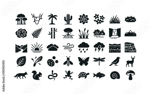 Plant exploration environment elements showing ra rest canopy trees, jungle vine liana, tropical palm tree, desert cactus tall,