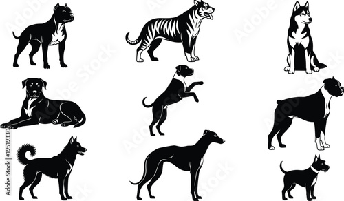Animal silhouettes illustration, dogs and tiger vector design, diverse pet and wildlife icons, canine feline posture art collection