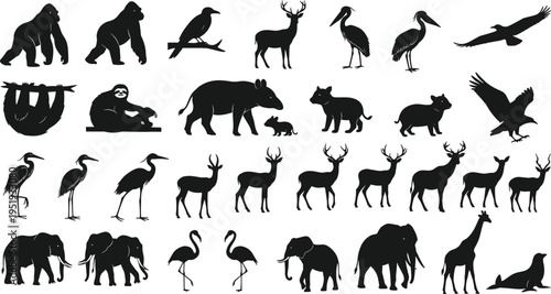 Animal silhouettes including gorillas, birds, deer, elephants, cats, giraffes, seals, diverse wildlife collection, vector illustration design