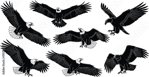 Bald eagle silhouettes in flight and landing poses, wings spread wide, detailed vector illustration symbolizing strength and freedom
