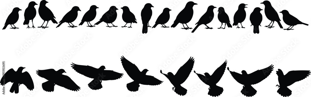 Fototapeta premium Bird silhouettes collection, perched and flying poses, wing positions, avian motion study, wildlife illustration, vector art resource