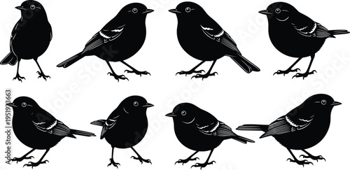 Bird silhouettes collection, flying birds, perched birds, black bird icons, avian shapes, wildlife silhouettes, decorative bird graphics, vector illustration