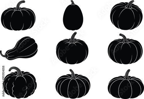 Black silhouette illustration of diverse pumpkins and gourds in grid layout showing varied shapes, stems, and seasonal harvest forms
