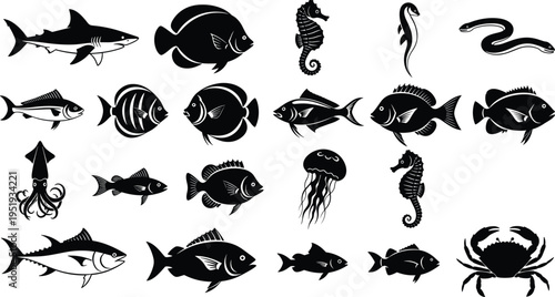 Black silhouette illustration of marine animals including fish, shark, squid, jellyfish, crab, seahorses, and eel representing ocean life