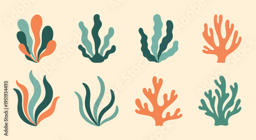 Various colorful seaweeds are artistically arranged, providing a diverse collection of vibrant marine algae, ideal for graphic design or decoration projects requiring a nautical and artistic
