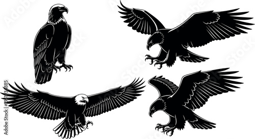  Black silhouette vector illustration of eagles perched and flying with wings spread, talons extended, and detailed feather patterns concept