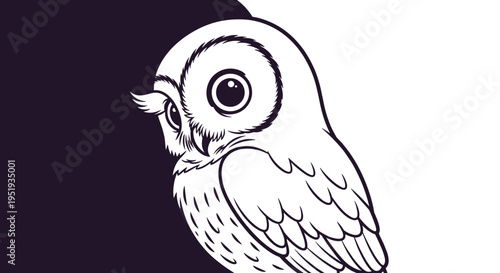 Owl Bird Animal Illustration Portrait.
