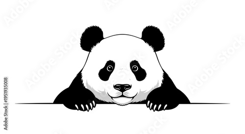 Panda bear peeking from behind surface.