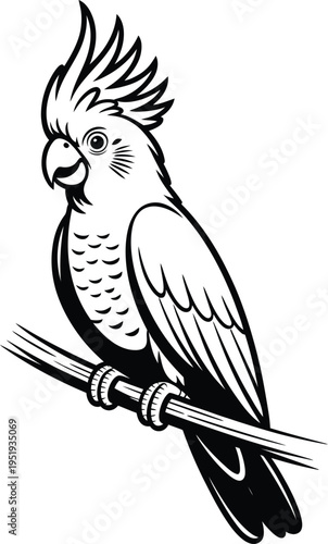 Black and white line art illustration of a cockatoo parrot perched on a branch