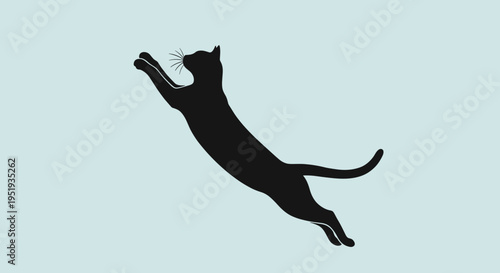 Black cat jumping in air.