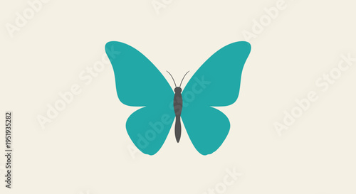 Teal colored butterfly with wings spread.